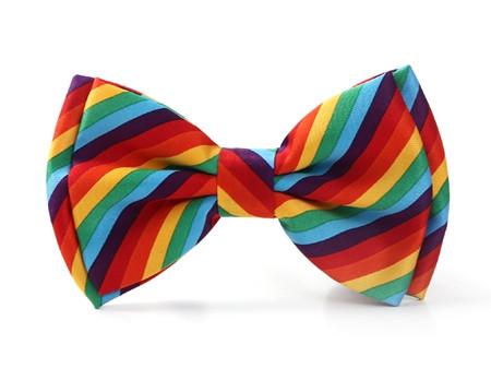 Jazzy Bow Tie